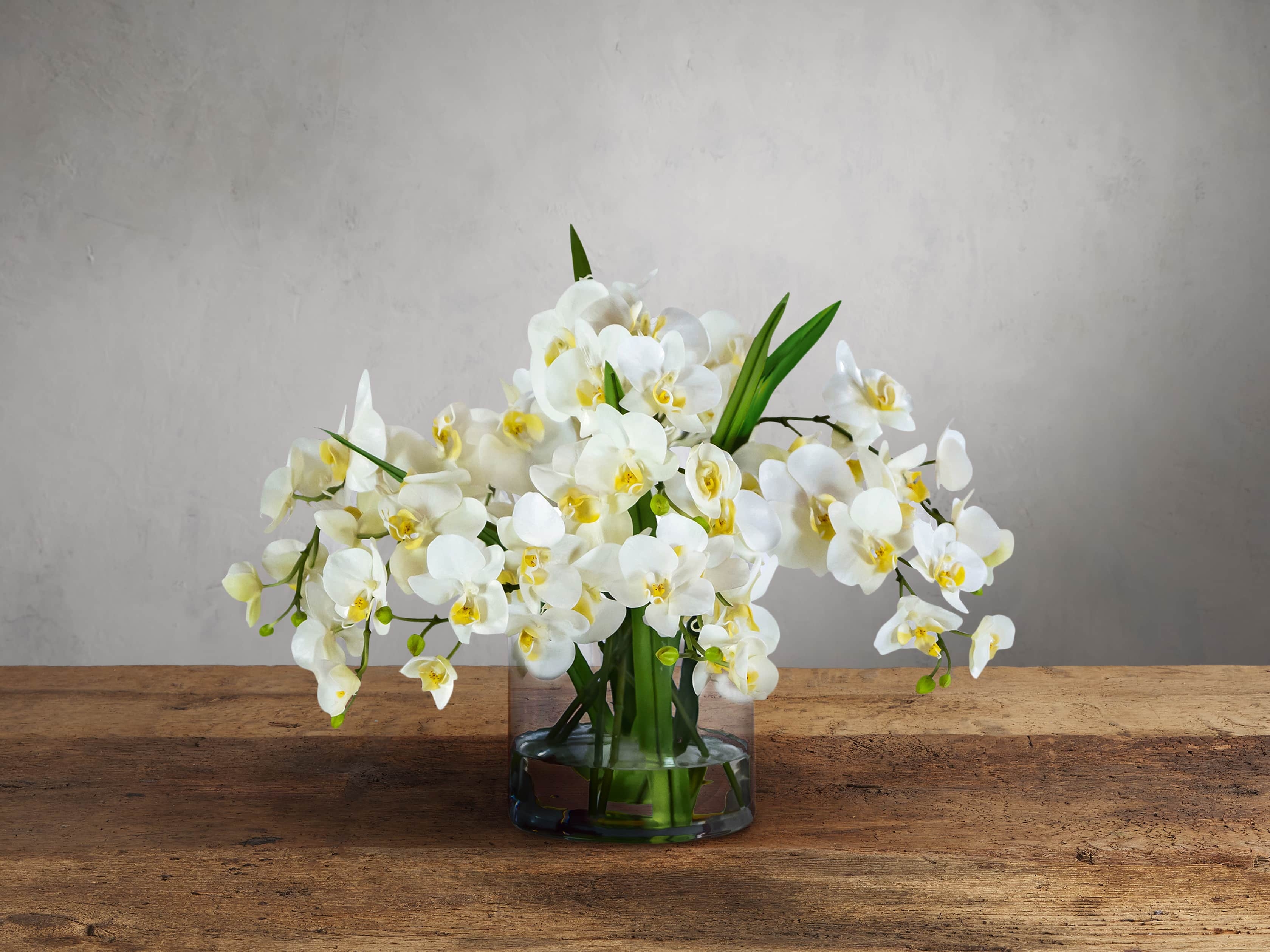Faux White Phalaenopsis in Glass - Image 0