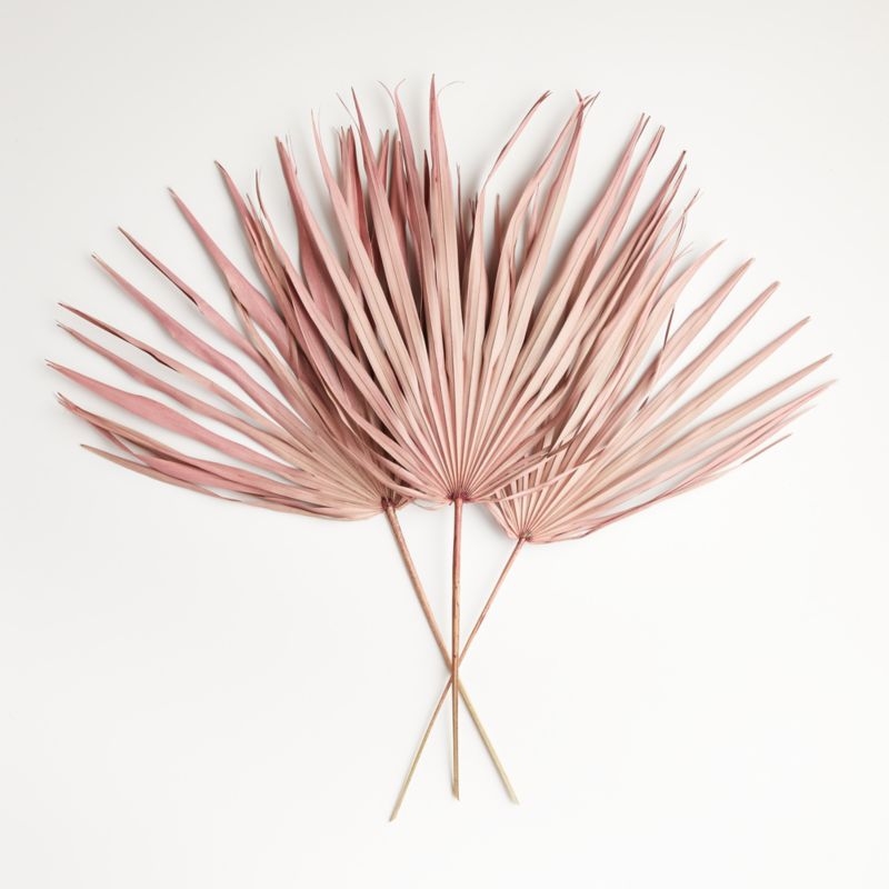 Pink Paper Palms, Set of 3 - Image 6