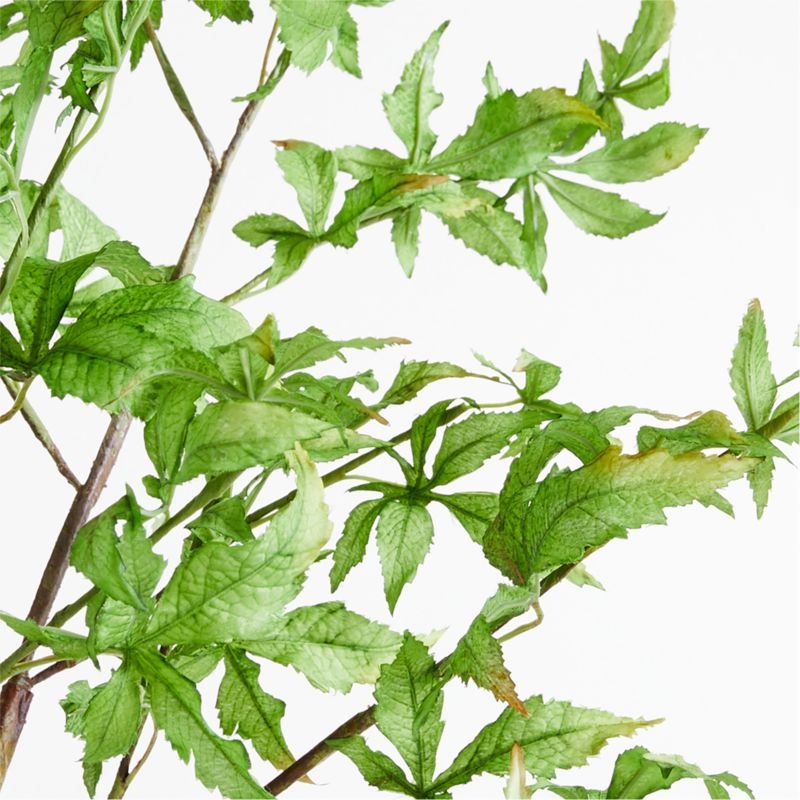 Potted Faux Green Maple Tree 7.5' - Image 1