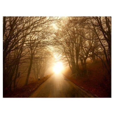 'Path to Sunlight in Autumn Forest'Photograph - Image 0