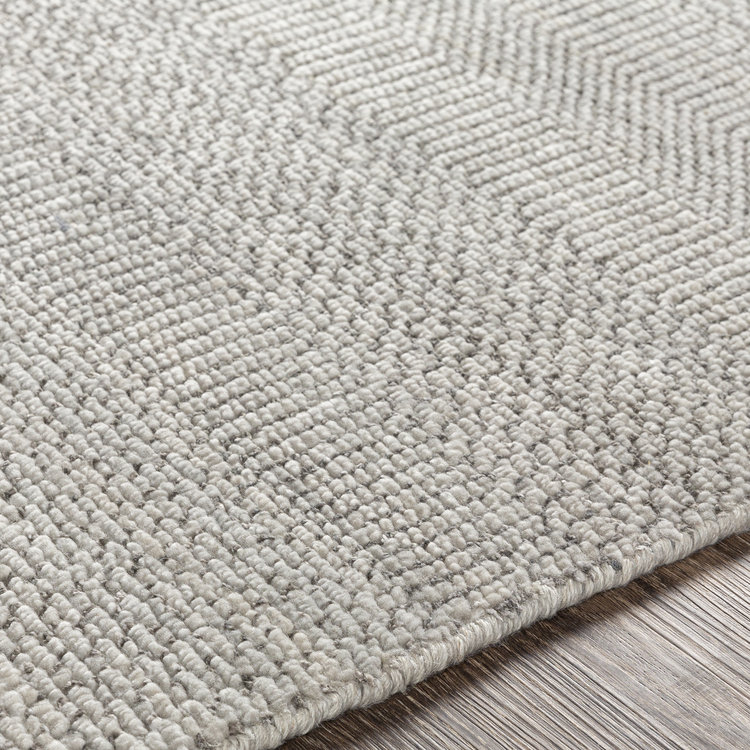 Tribeca Beige Indoor 4' x 6' Handmade Rug - Image 2