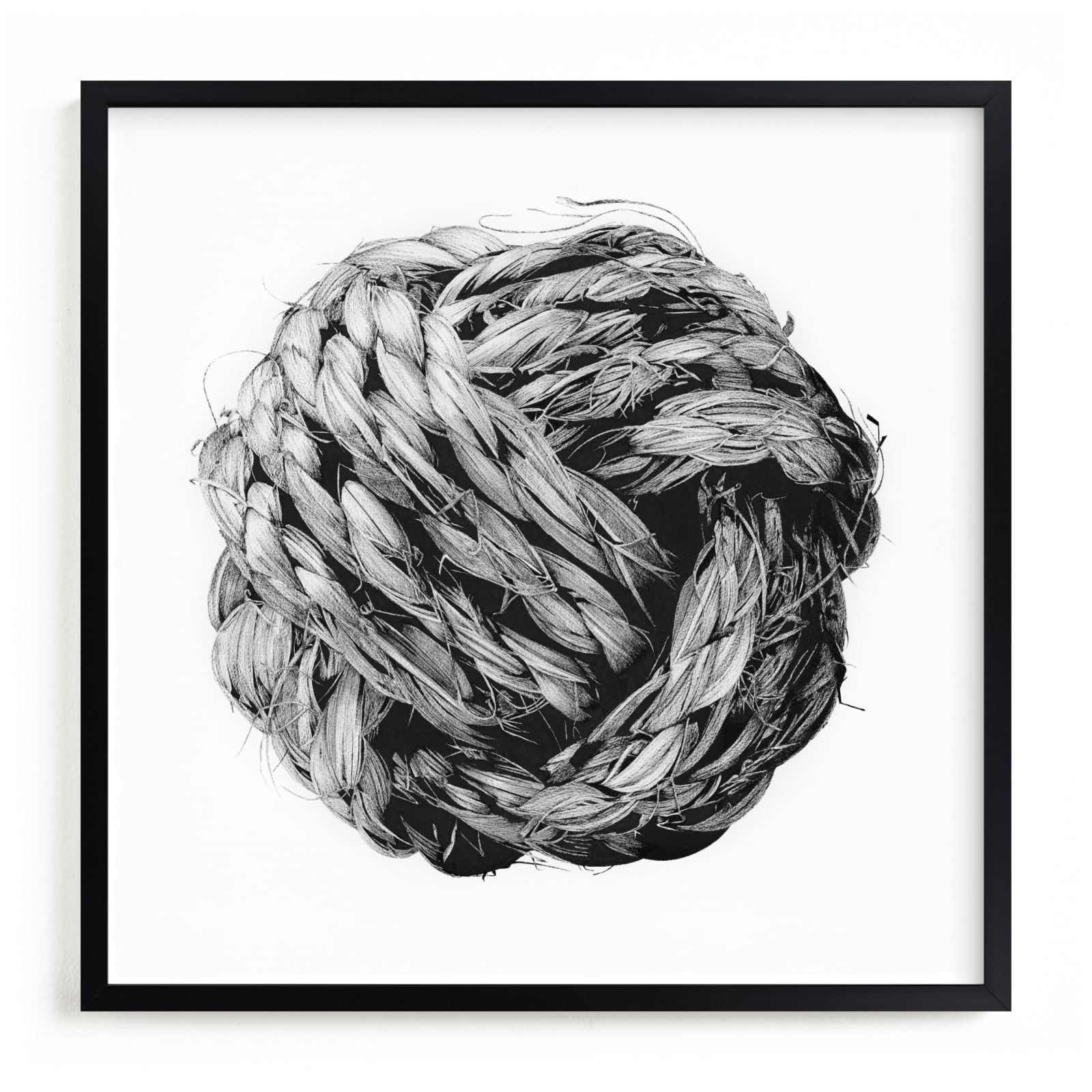 Monkey Fist Limited Edition Fine Art Print 2 - Image 0