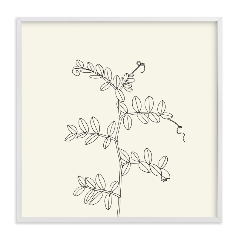 Wild Pea Limited Edition Fine Art Print 1 - Image 0