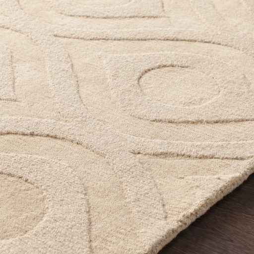 Central Park Beige Indoor 2'3" x 14' Handmade Rug - Image 2