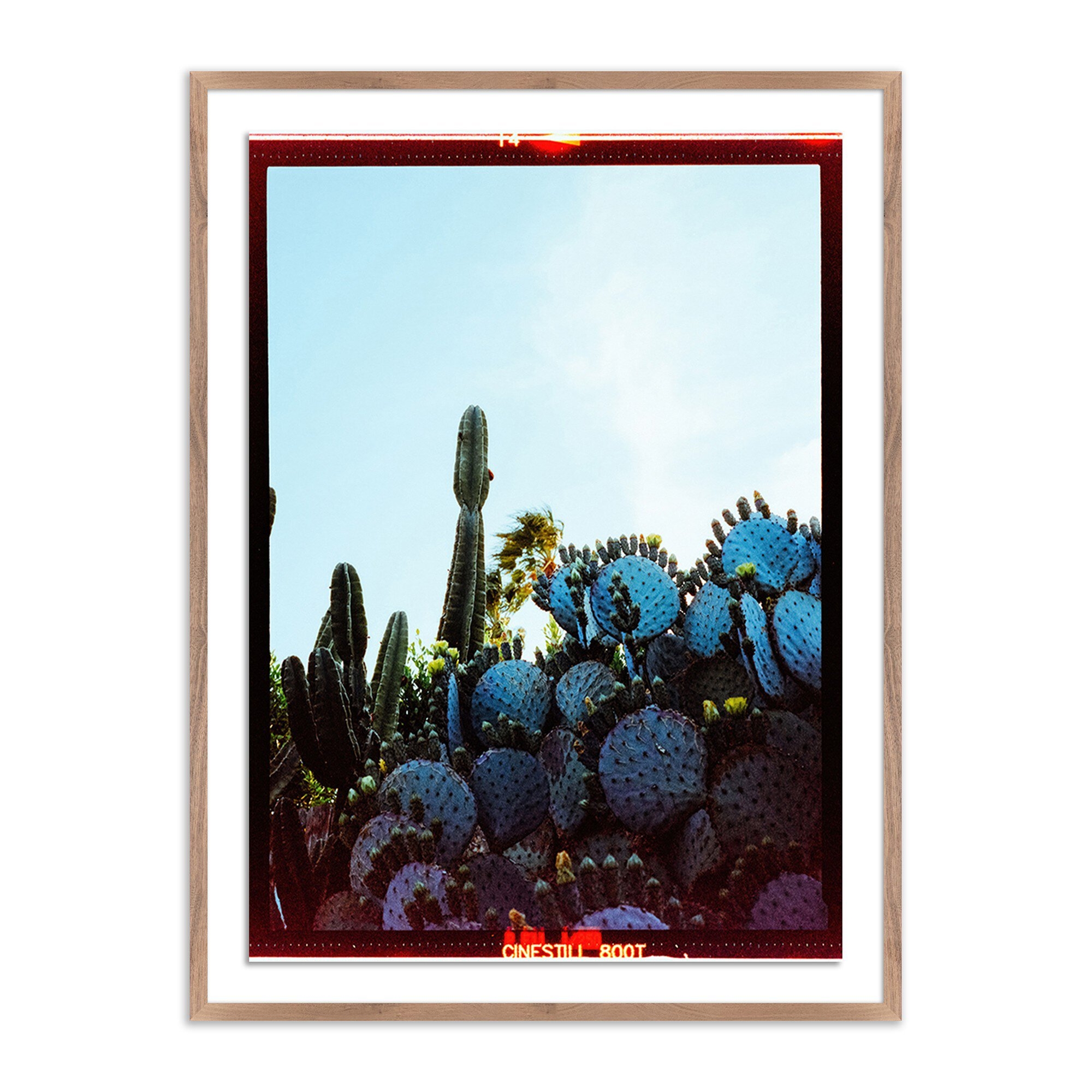 Villeta by Ella Virginia West - Rustic 2.5 Walnut - Image 0