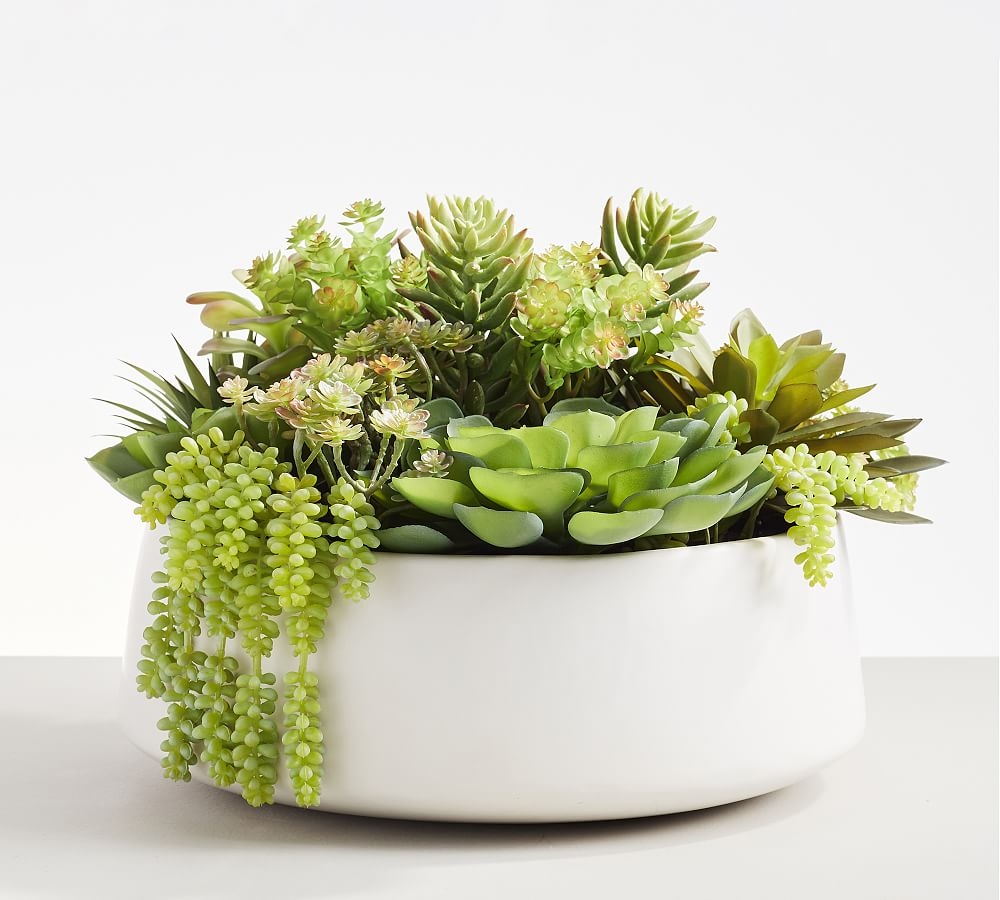 Faux Succulent Arrangement in Ceramic Planter, XXl, Green Multi - Image 0