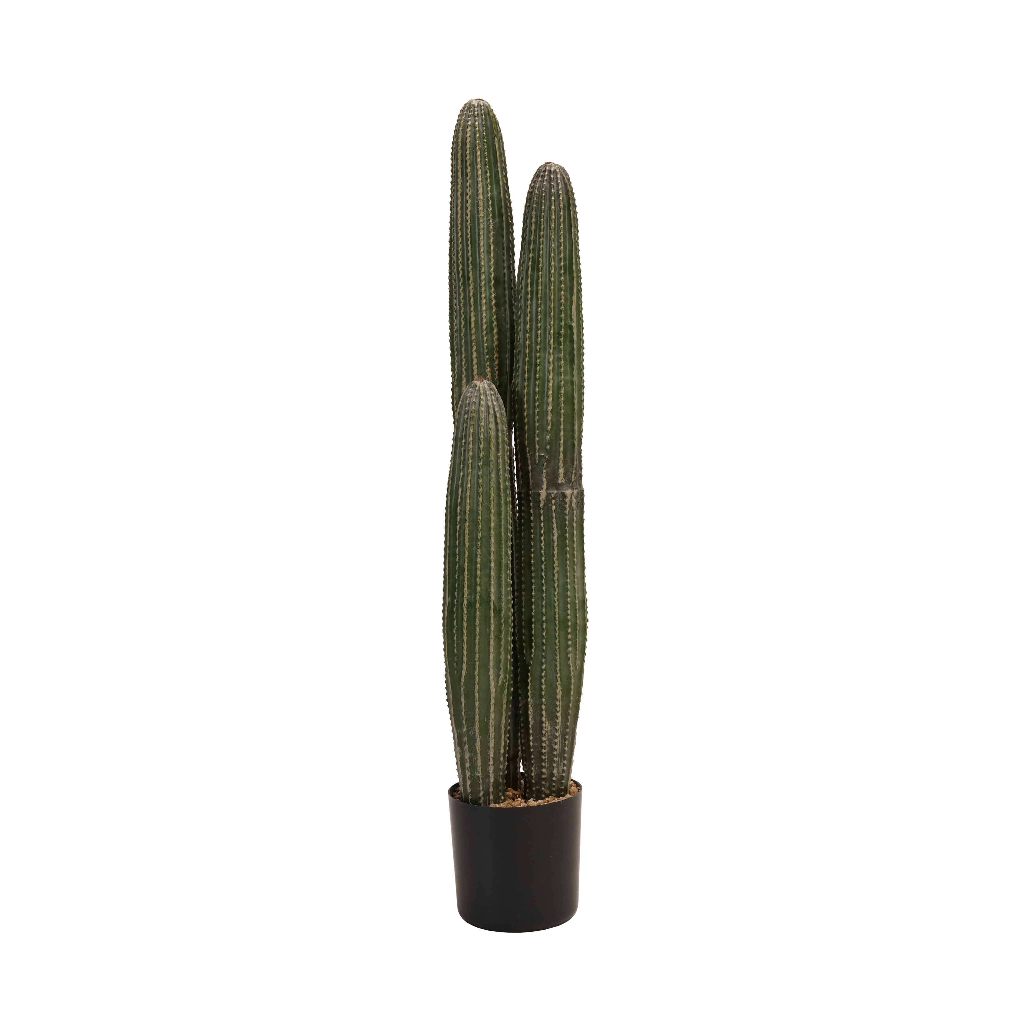 Round Faux Pachycereus Cactus in Plastic Pot, Green - Image 0