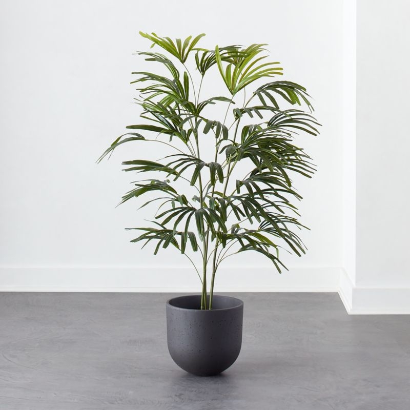 Potted Spade Tree 5' - Image 1