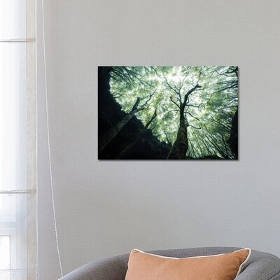Growing Towards The Light by Fabian Fortmann - Wrapped Canvas Gallery-Wrapped Canvas Giclée - Image 0