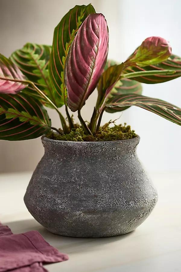 Buckled Jar Stoneware Planter - Image 0