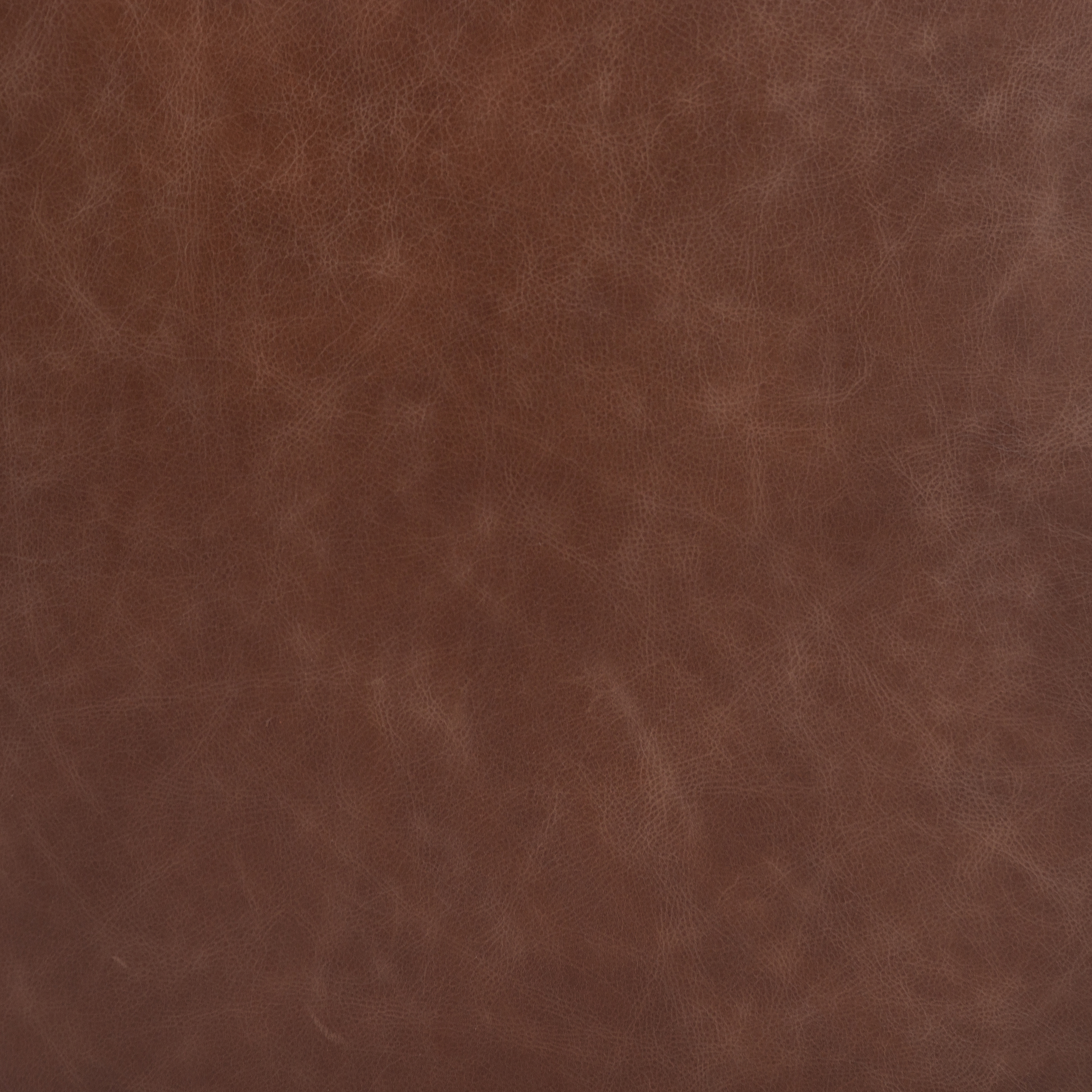 Jules Chair-Havana Brown - Image 9