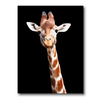 Close Up Portrait Of A Giraffe V - Farmhouse Canvas Wall Art Print - Image 0