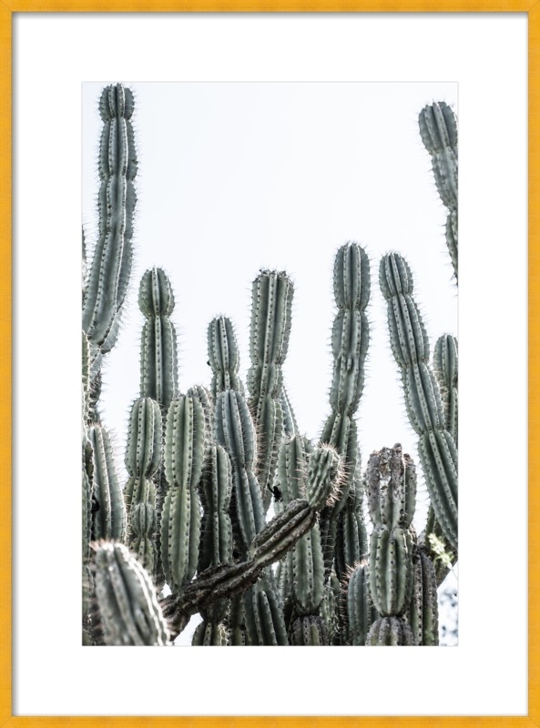Cactus Jungle II by Ann Hudec for Artfully Walls - Image 0
