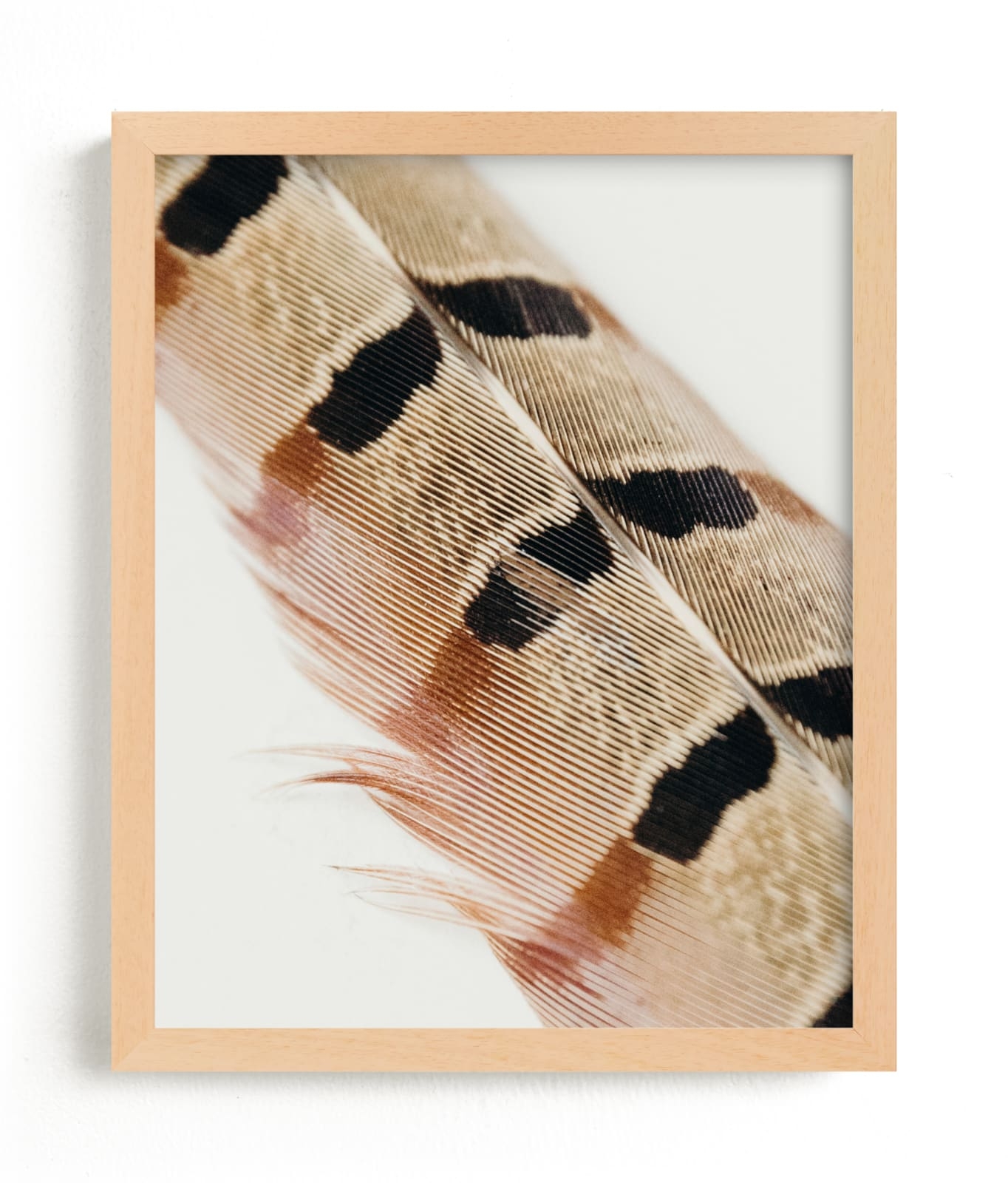 Feather Study I Limited Edition Fine Art Print 2 - Image 0