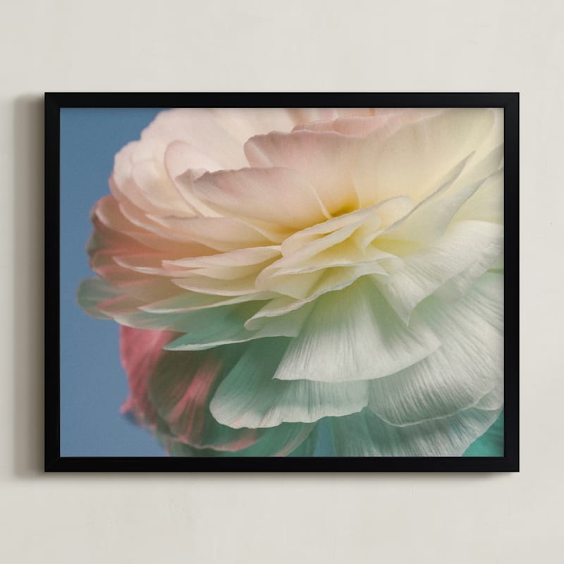 Delicate Ranunculus Flower Limited Edition Fine Art Print 2 - Image 0