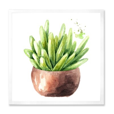 Succulent Flower In Terracotta Pot I - Traditional Canvas Wall Art Print FDP35477 - Image 0