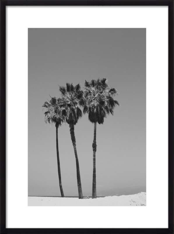 Venice Palms by Catherine McDonald for Artfully Walls - Image 0