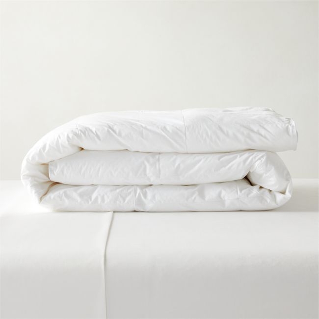 Hypoallergenic Lightweight Down-Alternative King Duvet Insert - Image 0