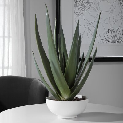 25.5'' Artificial Aloe Plant in Pot - Image 0
