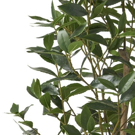 Artificial Laurel Tree in Pot - Image 2