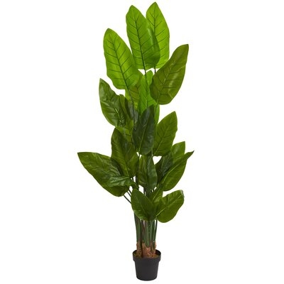 6' Canna Artificial Tree - Image 0