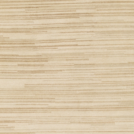 Gradience Beige Indoor 2' x 3' Handmade Rug - Image 0