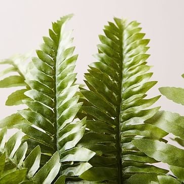 Faux Potted Fern Plant - Image 2