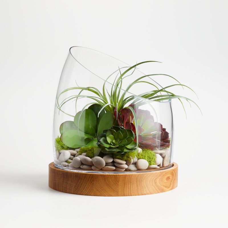 Small Slant Terrarium with Wood Base - Image 1