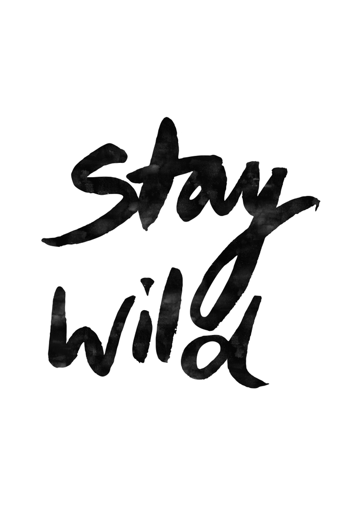 Stay Wild Throw Pillow by Mareike BaPhmer - Cover (16" x 16") With Pillow Insert - Outdoor Pillow - Image 1