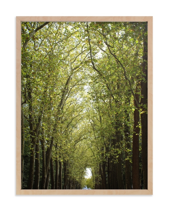 Canopy Of Trees Limited Edition Fine Art Print 1 - Image 0
