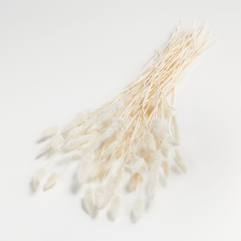 Bleached Bunny Tail Bunch Dried Botanicals - Image 1