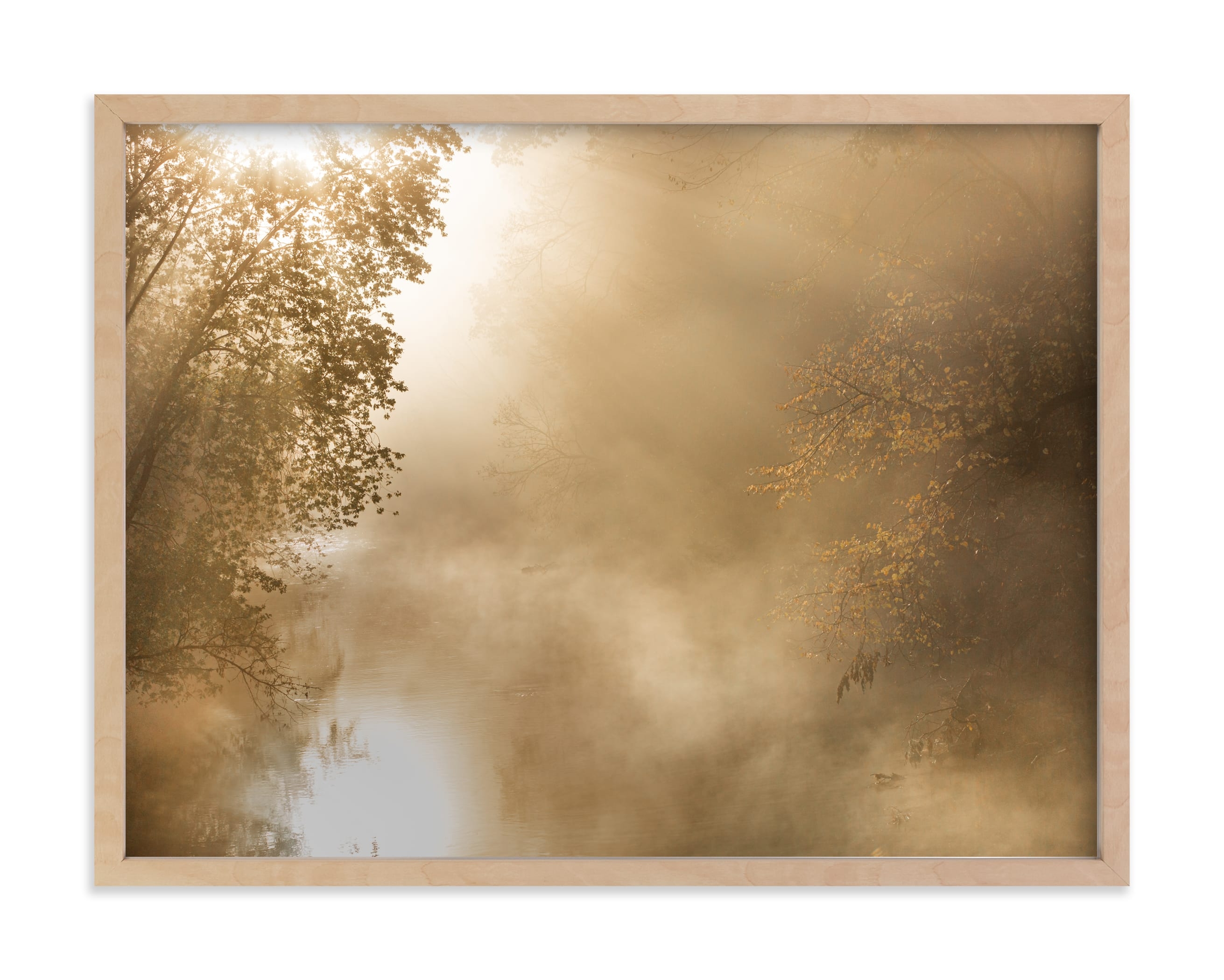Golden Light Limited Edition Fine Art Print 2 - Image 0