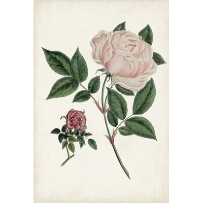 Vintage Rose Clippings I - Image 0