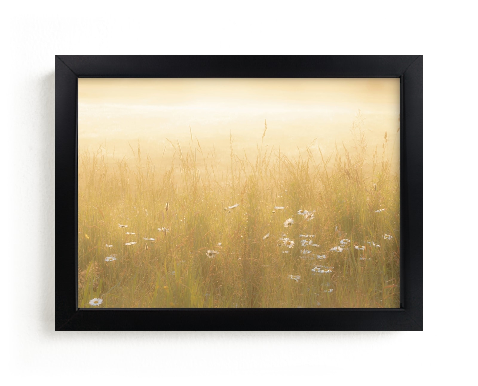 Golden Meadow Limited Edition Fine Art Print 2 - Image 0