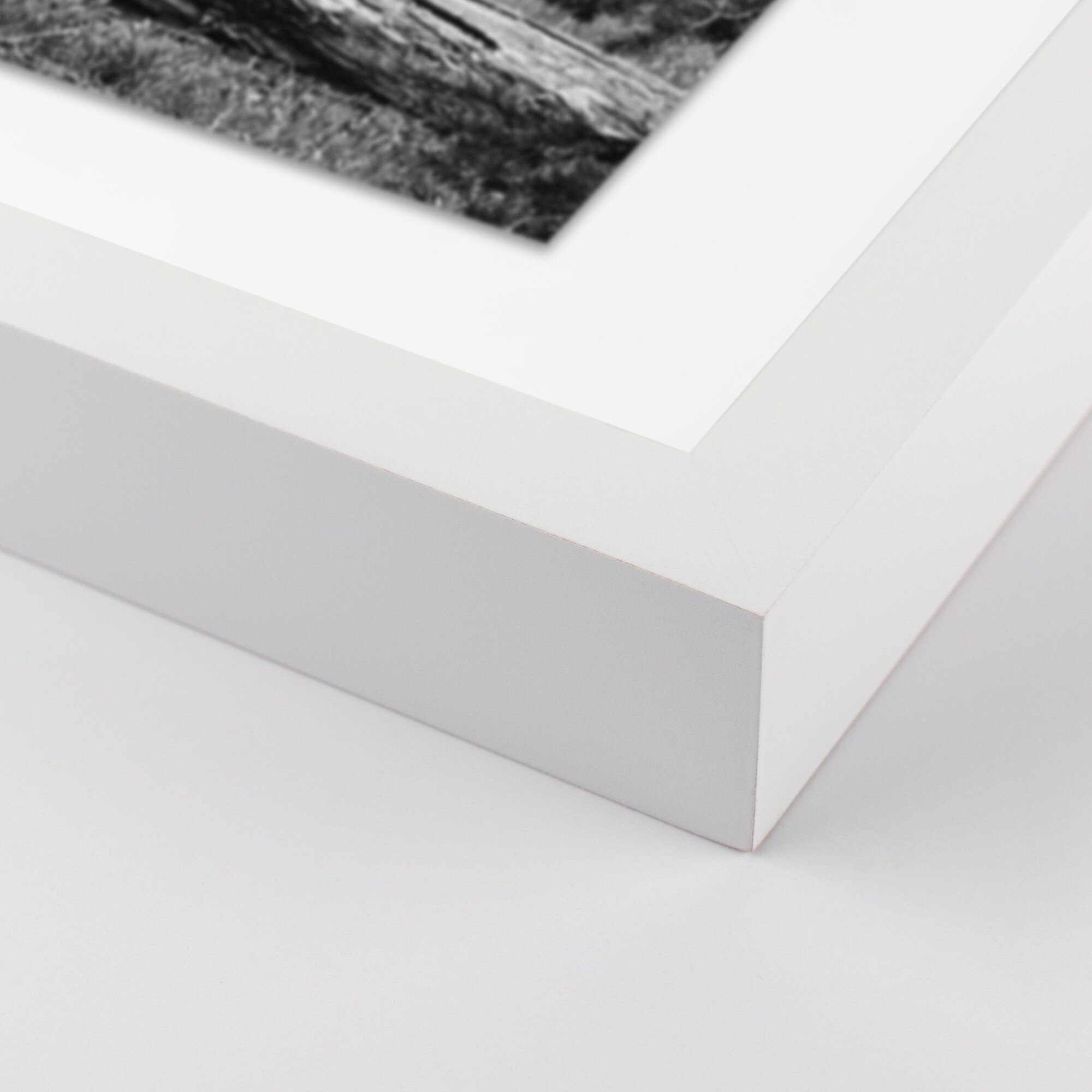 Don't Feed The Bears by Wesley and Emma Teague	 - White 1.5 Maple - Image 1