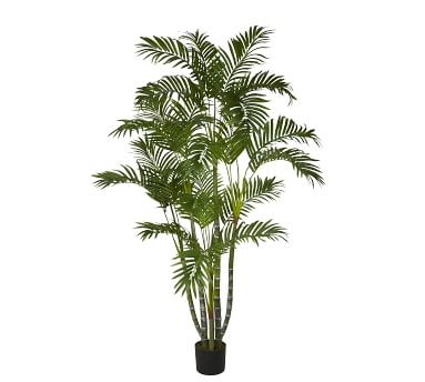 Faux Narrow Areca Palm Tree, 6' - Image 1