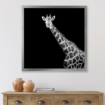 Close Up Portrait Of A Giraffe I - Farmhouse Canvas Wall Art Print - Image 0