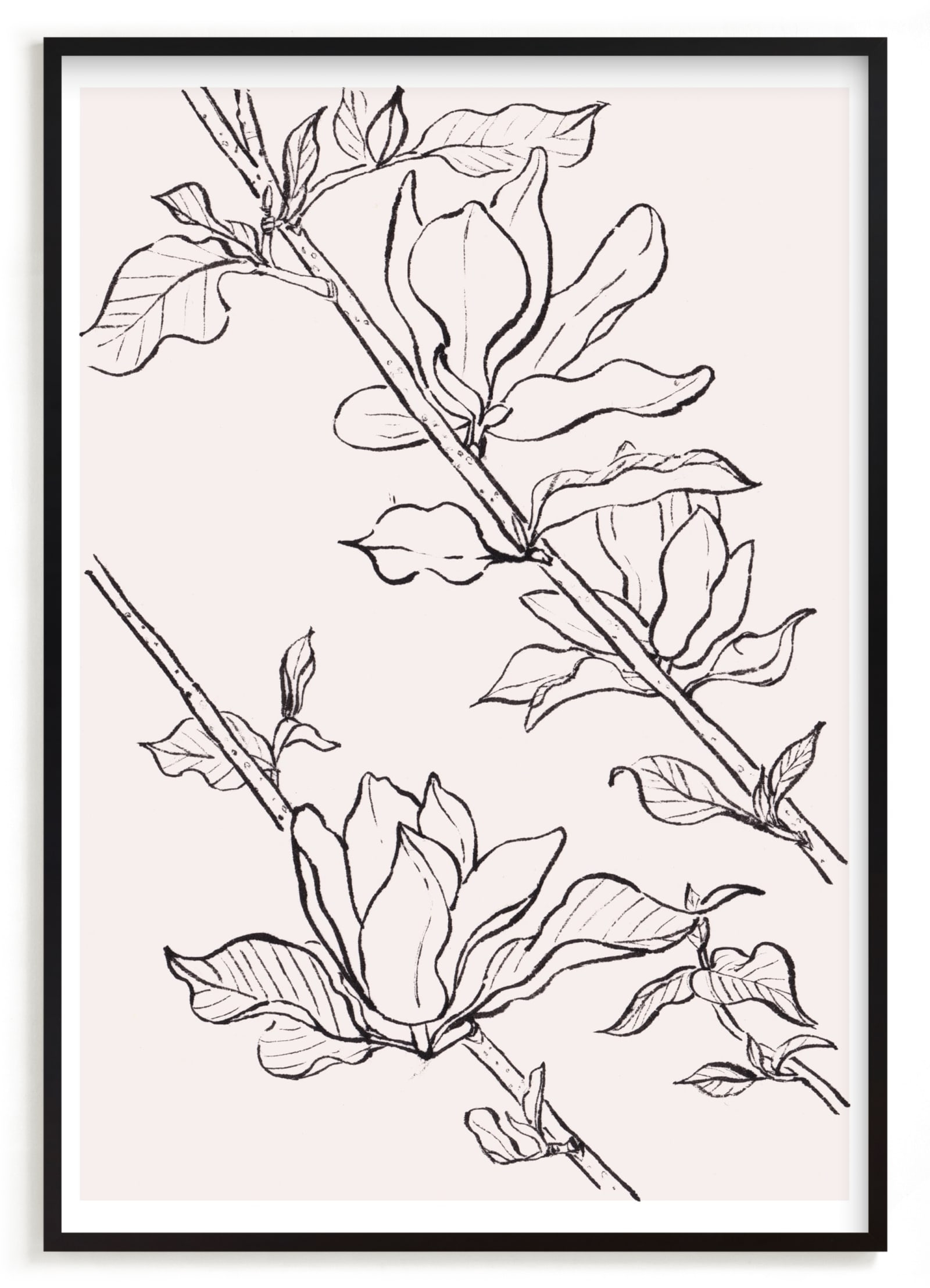 Magnolia Study Limited Edition Fine Art Print 2 - Image 0
