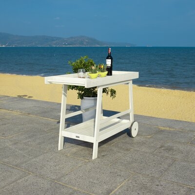 Abbeyville Indoor/Outdoor Bar Serving Cart - Image 0