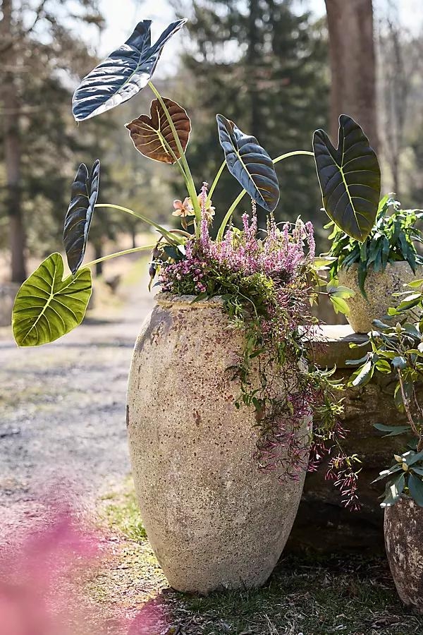 Barnacle Water Jar Planter - Image 0