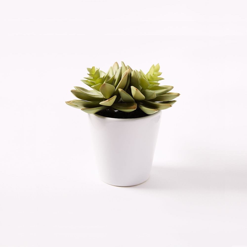Faux Succulent - Image 0