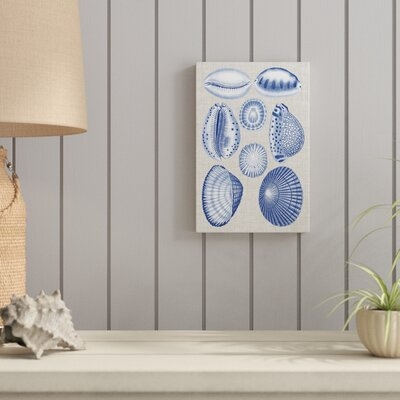 Navy & Linen Shells I by Vision Studio Painting Print on Canvas - Image 0