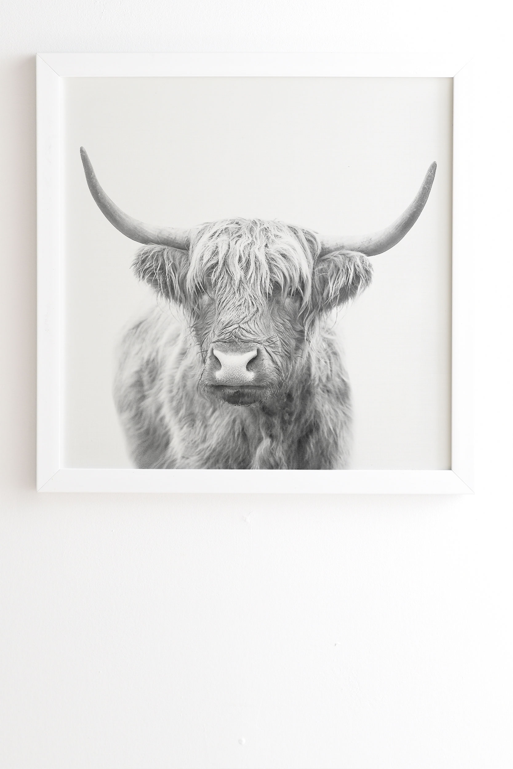 Highland Bull by Sisi and Seb - Framed Wall Art Basic White 30" x 30" - Image 1