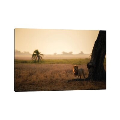Palm Tree King by Mohammed Alnaser - Wrapped Canvas Photograph Print - Image 0
