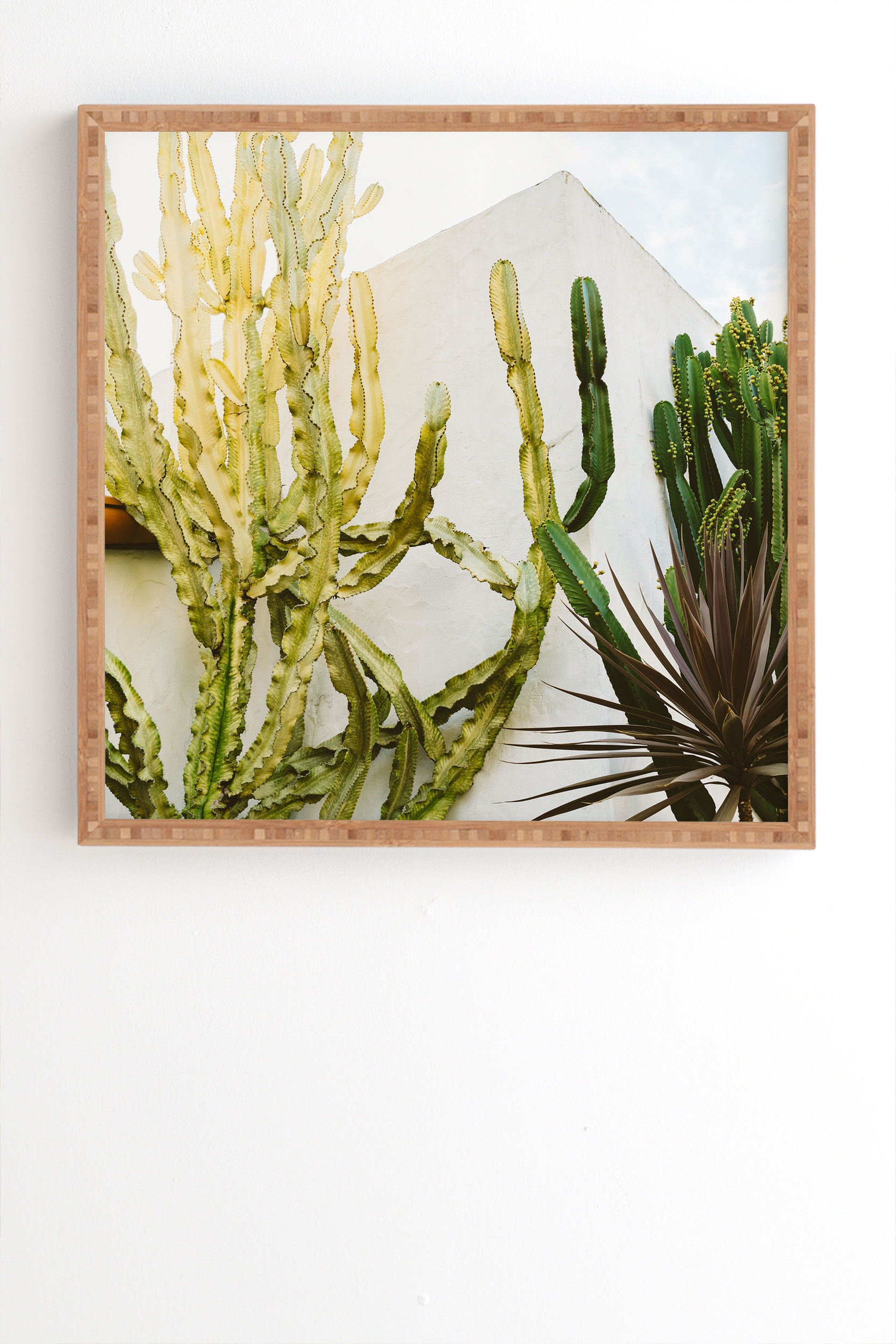 California Cactus Garden by Bethany Young Photography - Framed Wall Art Bamboo 12" x 12" - Image 1