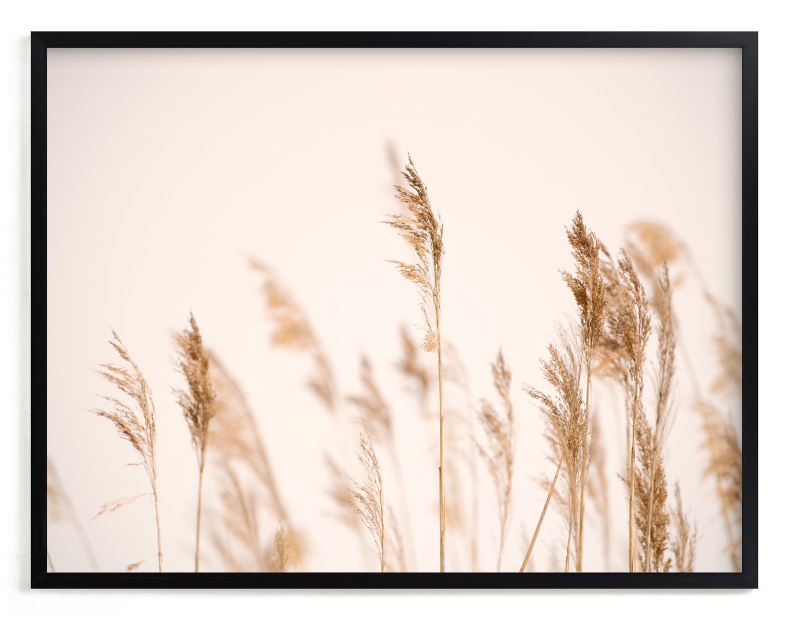 Summer Weeds Open Edition Fine Art Print - Image 0