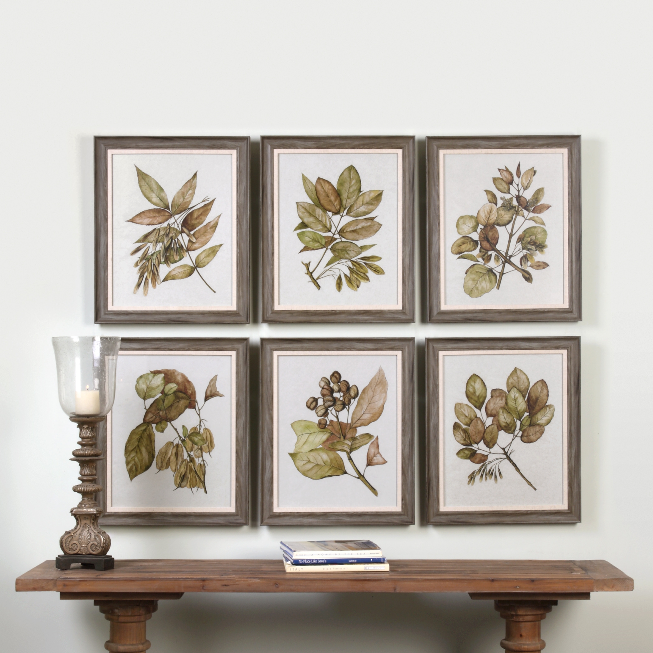 Seedlings Framed Prints S/6 - Image 1