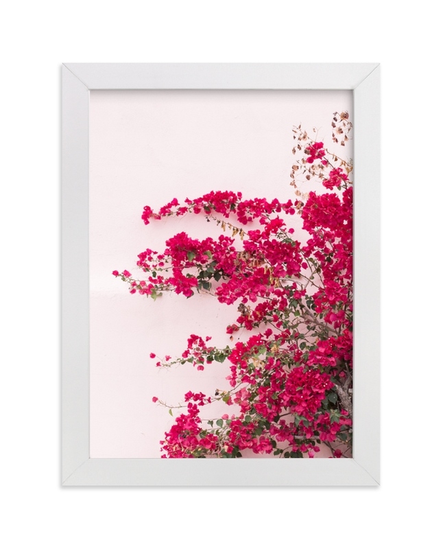 Bright Bougainvillea Limited Edition Fine Art Print 1 - Image 0