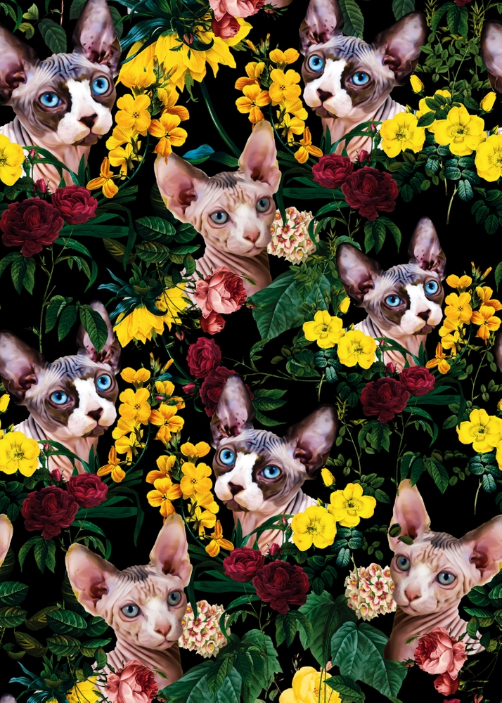 Floral And Sfenks Cat Pattern Framed Art Print by Burcu Korkmazyurek - Scoop Black - X-Small 10" x 10"-12x12 - Image 1