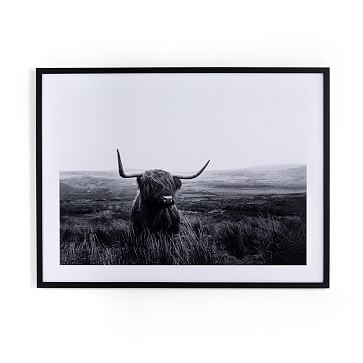 Highlander Cow Horizon, 24"x20" - Image 0